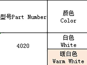 4028（全彩、ICRGB）系列